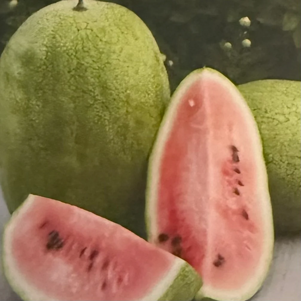 Watermelon Seeds